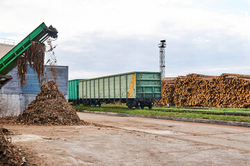 timber yard with stacks of logs, open freight wagons and bark chipper
