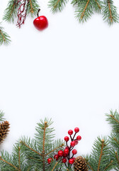 Fototapeta na wymiar Christmas background with fir branches and berries