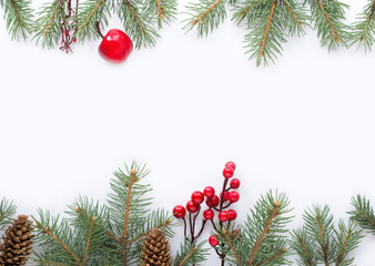 Christmas background with fir branches and berries