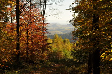 Owl Mountains, Poland