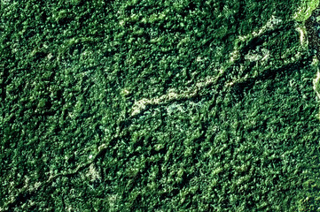 Green concrete abstract texture. Copy space, big plan. Bright textural industrial background.