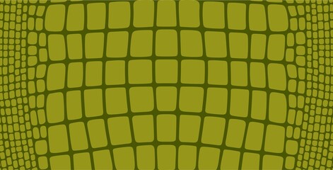 Crocodile skin. Abstract crocodile skin on white background