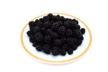 Ripe BlackBerry on a white saucer with a yellow border