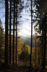 Góry Bardzkie, Poland