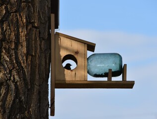 birdhouse