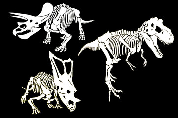Graphical set of skeletons of dinosaurs isolated on black background, vector  © Алексей Воробьёв
