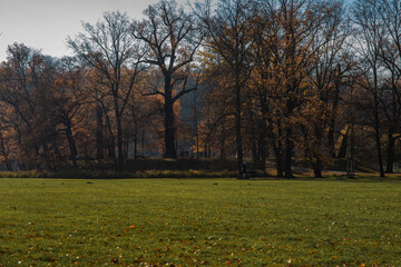 Prague, Czech Republic - 11-11-2020 - An autumn day at Park Stromovka.