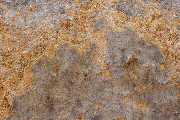 Old wood cracked background close-up