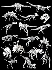 Graphical set of skeletons of dinosaurs isolated on black background, vector 