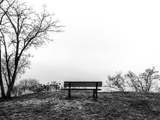 bench in the park