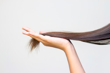 long brown hair on palm