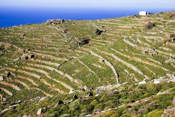 Fototapeta na wymiar Landscape of Tinos island in Greece with terraced fields.