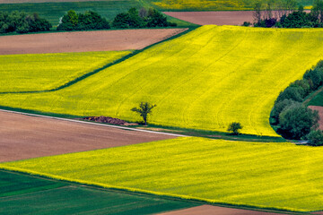 Felder im Albvorland bei Bissingen an der Teck, Baden-Württemberg