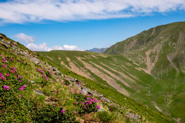Naklejka na ściany i meble Beautiful view from Fagaras Romanian mountains, Suru peak.