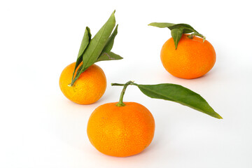fresh and ripe tangerines with green leaves on a white background