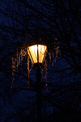 Christmas Street Light