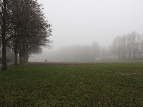 Foggy Feild