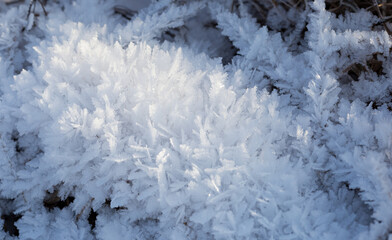 Frosty crystals of white frost on the grass, close-up, background.