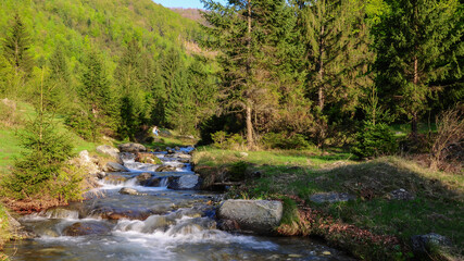A mountain stream flowing rapidly through rocks along a spruce forest and under the sun rays. Fagaras Mountains, Carpathia, Romania. © Alexandru V