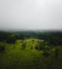 The Hortekollen forest in Norway