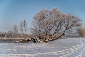 Winter day on the river, partially covered with ice. On the shore there are trees in hoarfrost.