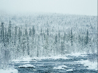 Amazing winter landscape with a river among snow-covered hills covered with coniferous forest