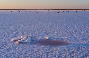 Sunset Genichesk pink  salty lake, Ukraine