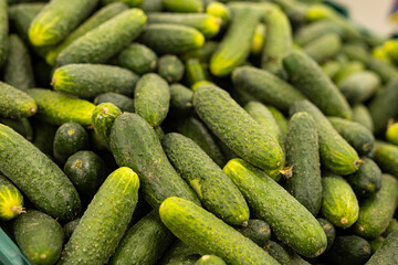 A bunch of cucumbers in the market
