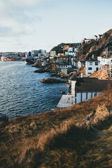 Fototapeta premium evening in the battery in st. john's, newfoundland and labrador, canada