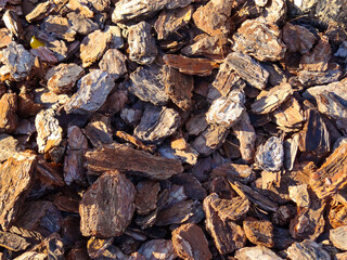 Wooden pattern sunlit by the autumn sun