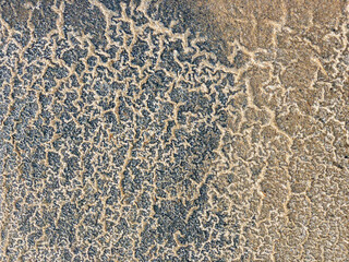 The sand and salt crystals formed a beautiful texture. View of the salt marsh at noon