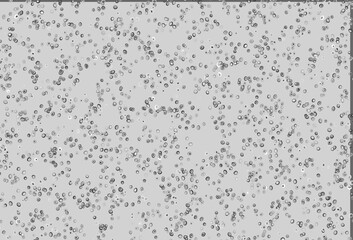 Light Silver, Gray vector background with bubbles.