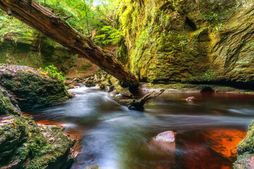Red water stream in scotland with tree trunk