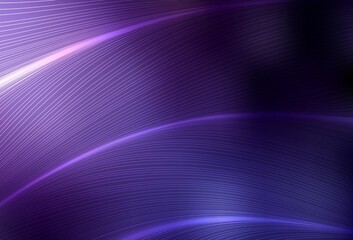 Dark Purple vector layout with curved lines.