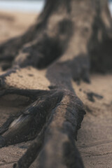 wooden fence#arboles #naturaleza #nature #trees #a #rboles #tree #arbol #photography #o #n #flores #naturephotography #verde #cielo #bosque #fotografia #plantas #landscape #paisajes #mexico #paisaje #