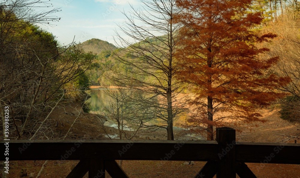 Poster 兵庫県・三田市の池の風景