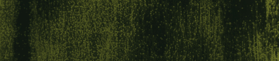 abstract black and dark green colors background for design