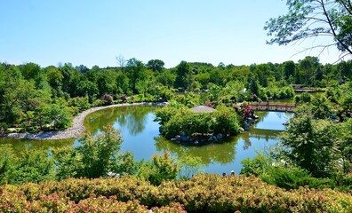 Fototapeta na wymiar Scenery at Frederick Meijer Gardens & Sculpture in Michigan, with the tranquillity, simplicity and beauty.