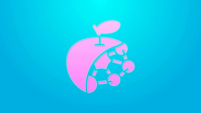 Pink line Biological structure icon isolated on blue background. Genetically modified organism and food. 4K Video motion graphic animation