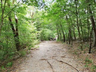 sendero mx
