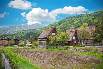 Fototapeta na wymiar GIFU,JAPAN - 10 Mayl,2015 : Shirakawago Declared a UNESCO world heritage site in 1995, Is famous for their traditional gassho-zukuri farmhouses, The village is surrounded by abundant nature.