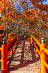 秋の伊香保温泉　河鹿橋