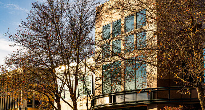 Abstract image of a building and trees at golden hour.