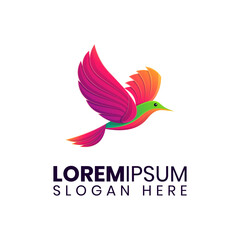 Colorful bird flying logo template