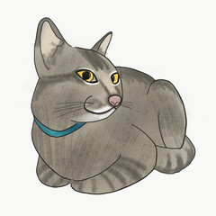 Beautiful Tabby cat watercolor painting illustration