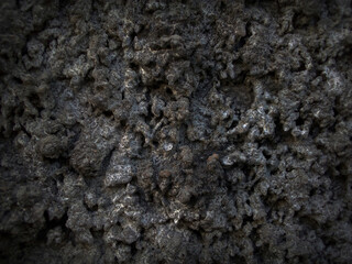    The shadow of the  old gray 
 cement wall surface with cracks       