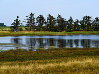 Salt Sea Marsh at Full Tide