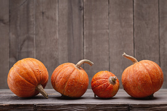 Four decorative mini-pumpkins on dark wooden background, studio shot, closeup.
