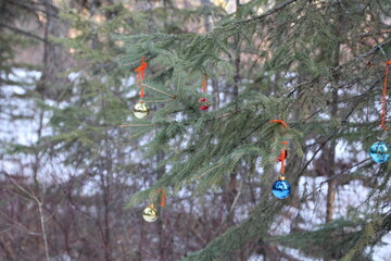 Christmas In The Forest, Whitemud Park, Edmonton, Alberta
