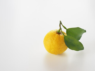 日本の柚子を白背景で